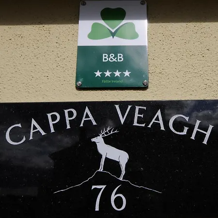 ベッド・アンド・ブレックファスト Cappa Veagh